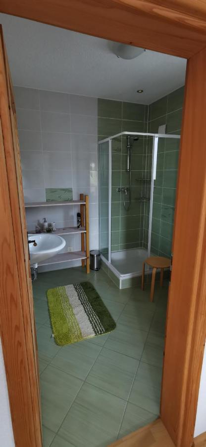 Villa Bora Moscenicka Draga Bed&Breakfast Moscenice Extérieur photo